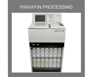 Paraffin Processor