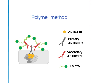 Polymer-method