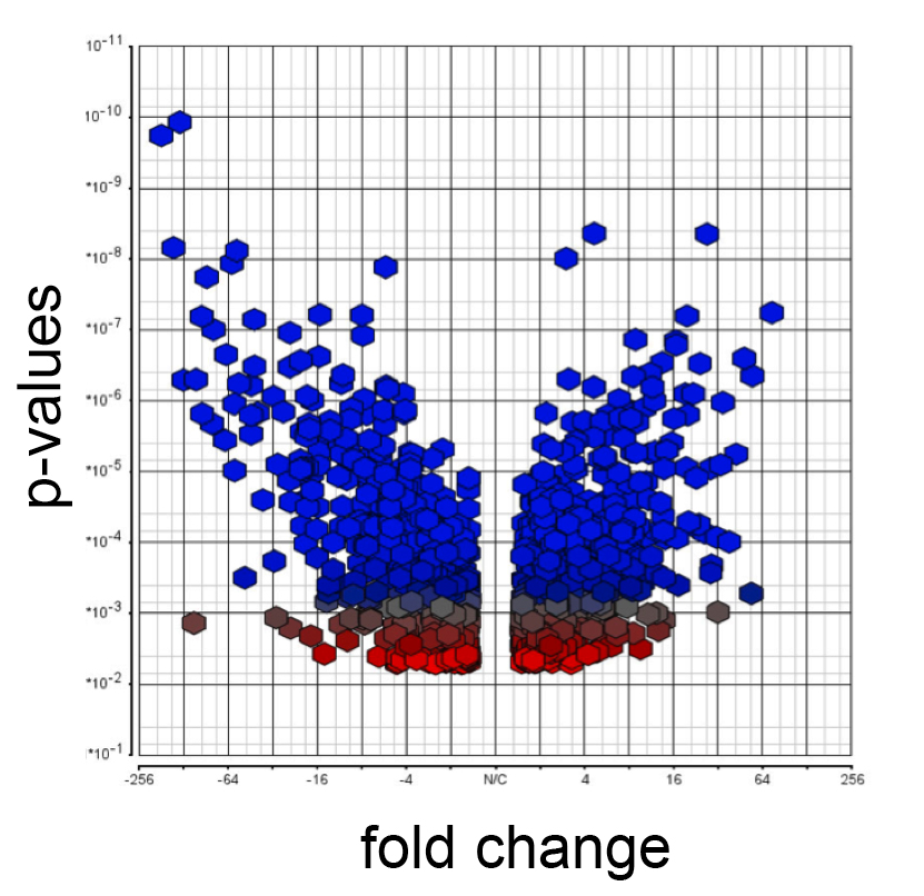 Data Analysis