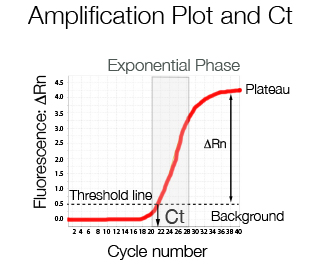 Amplification plot and a Ct value
