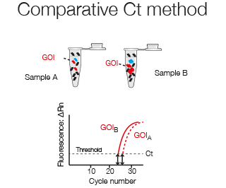Comparative Ct Method