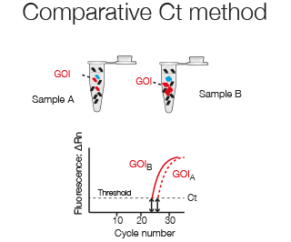 Comparative method. Comparative methodology. Comparative method Linguistics. Comparison method. Comparative methods in research.