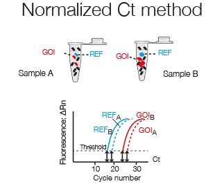 Normalized Ct Method