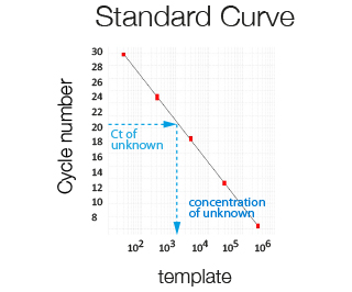 Standard Curve