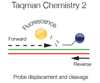 Taqman-Chemistry-2